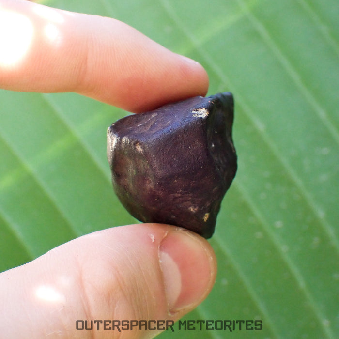 Viñales (aka. Vinales) - L6 Ordinary Chondrite - Complete Individual - 55.38g - Cuba