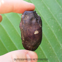 Viñales (alias Vinales) - Chondrite ordinaire L6 - Individu complet - 55,38g - Cuba