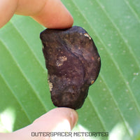 Viñales (alias Vinales) - Chondrite ordinaire L6 - Individu complet - 55,38g - Cuba