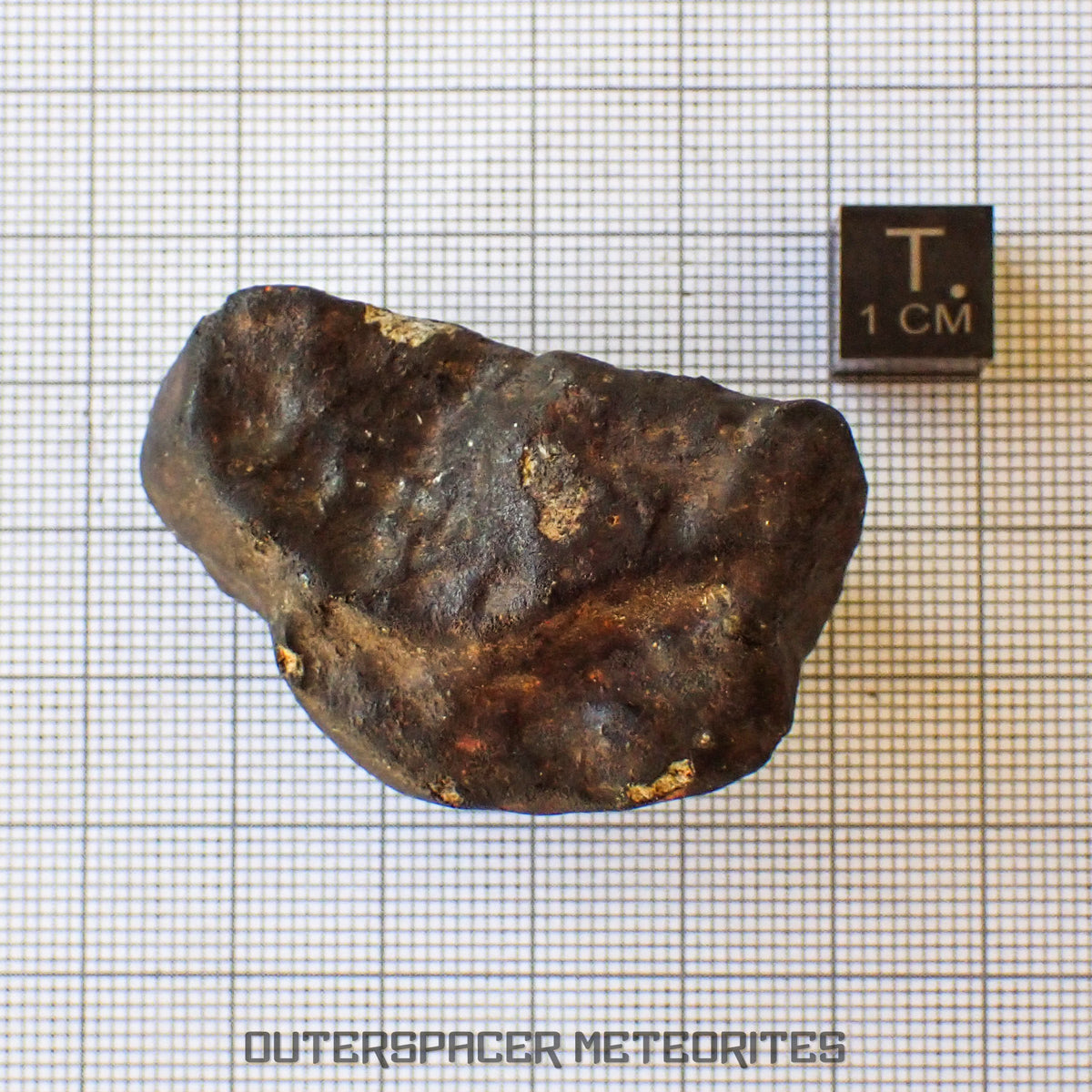 Viñales (alias Vinales) - Chondrite ordinaire L6 - Individu complet - 55,38g - Cuba