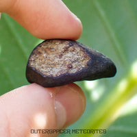 Viñales (aussi appelée Vinales) - Chondrite ordinaire L6 - Individu complet - 13,62g - Cuba