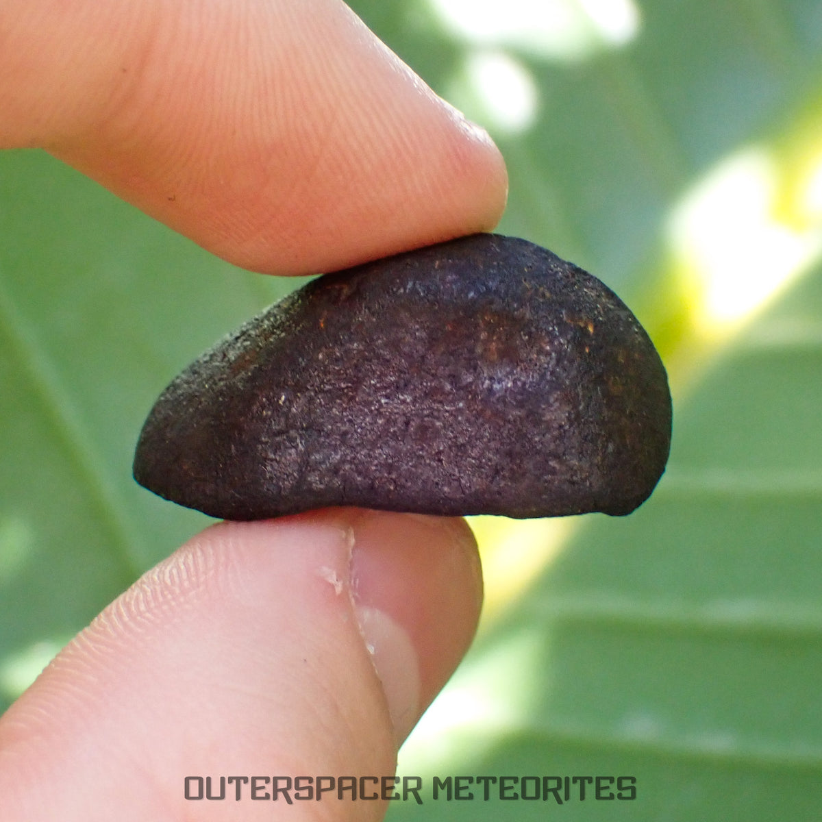 Viñales (aussi appelée Vinales) - Chondrite ordinaire L6 - Individu complet - 13,62g - Cuba