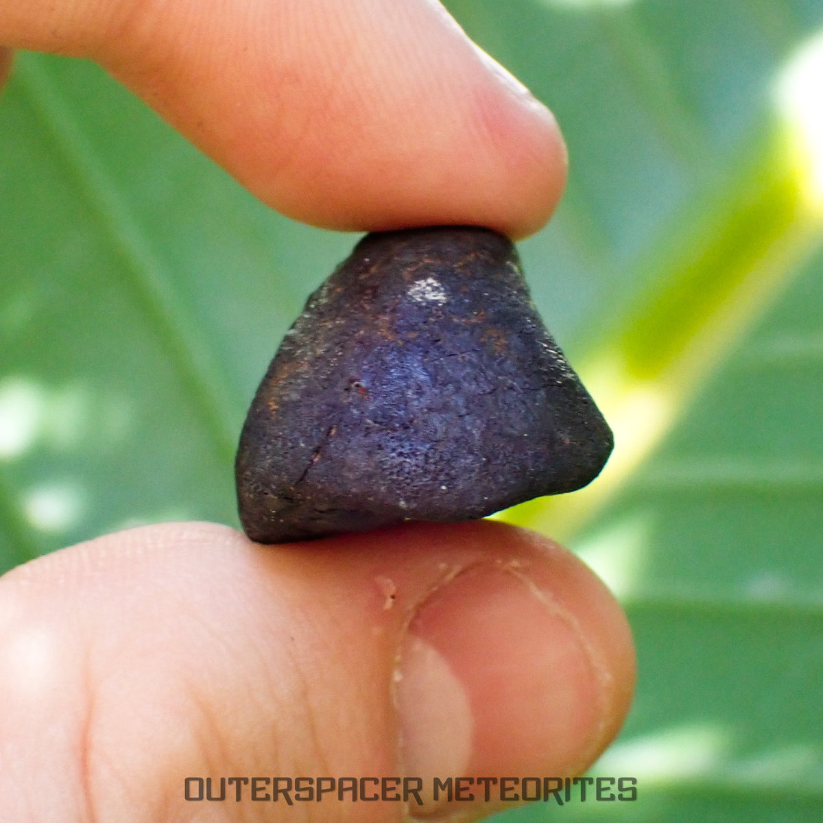 Viñales (aussi appelée Vinales) - Chondrite ordinaire L6 - Individu complet - 13,62g - Cuba
