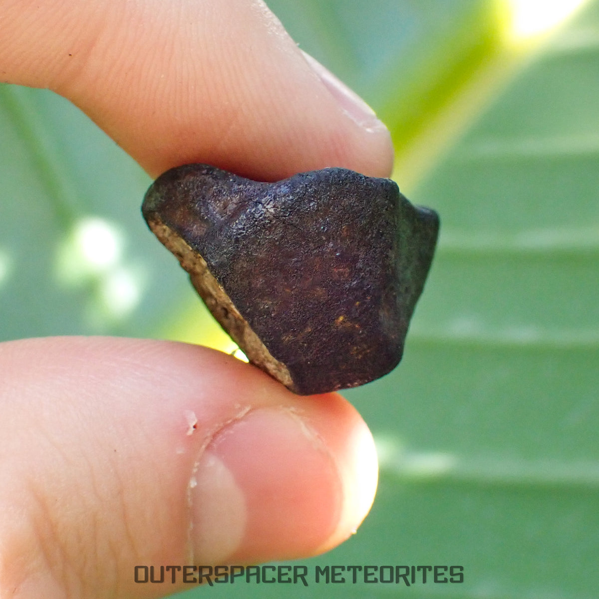 Viñales (aussi appelée Vinales) - Chondrite ordinaire L6 - Individu complet - 13,62g - Cuba