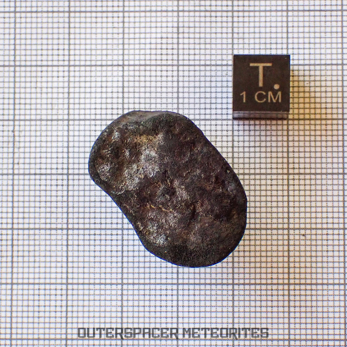 Viñales (aussi appelée Vinales) - Chondrite ordinaire L6 - Individu complet - 13,62g - Cuba