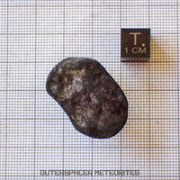 Viñales (aussi appelée Vinales) - Chondrite ordinaire L6 - Individu complet - 13,62g - Cuba