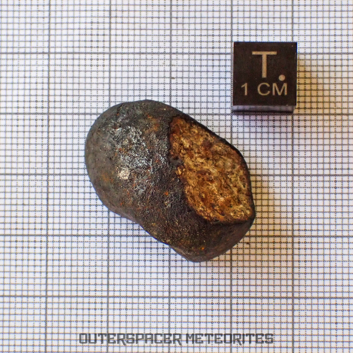Viñales (aussi appelée Vinales) - Chondrite ordinaire L6 - Individu complet - 13,62g - Cuba