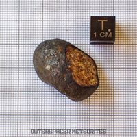 Viñales (aussi appelée Vinales) - Chondrite ordinaire L6 - Individu complet - 13,62g - Cuba