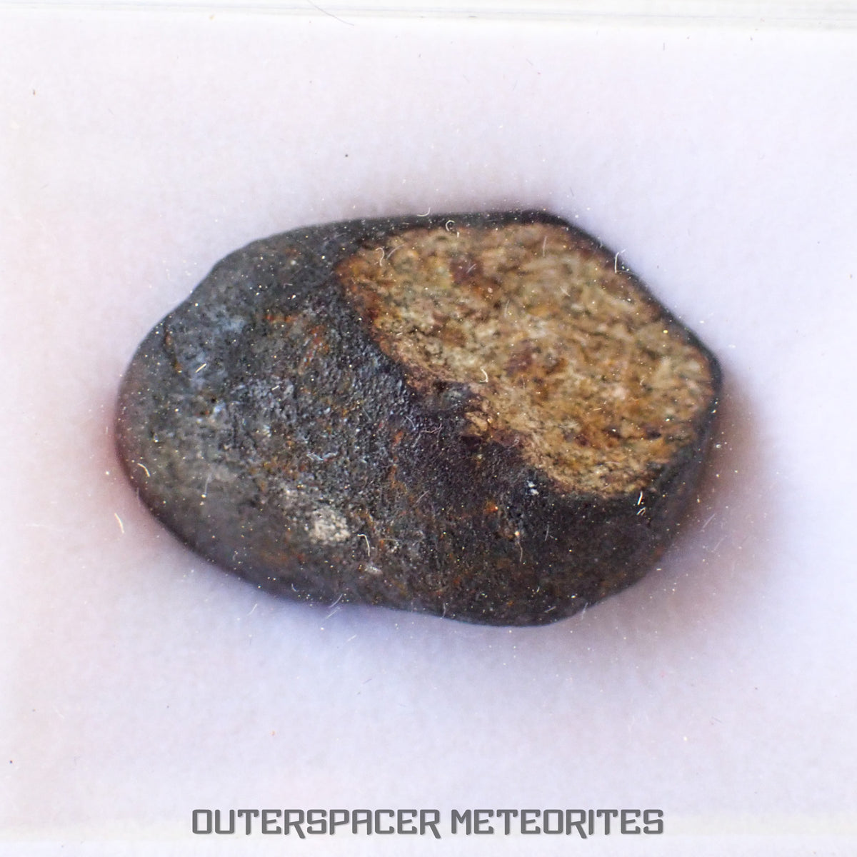 Viñales (aussi appelée Vinales) - Chondrite ordinaire L6 - Individu complet - 13,62g - Cuba