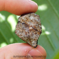 Viñales (aka. Vinales) - L6 Ordinary Chondrite - Complete Individual - 17.5g - Cuba
