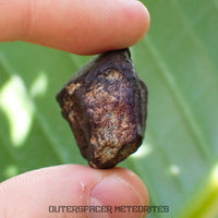 Viñales (aka. Vinales) - L6 Ordinary Chondrite - Complete Individual - 17.5g - Cuba
