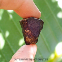 Viñales (aka. Vinales) - L6 Ordinary Chondrite - Complete Individual - 17.5g - Cuba