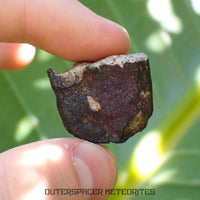 Viñales (aka. Vinales) - L6 Ordinary Chondrite - Complete Individual - 17.5g - Cuba