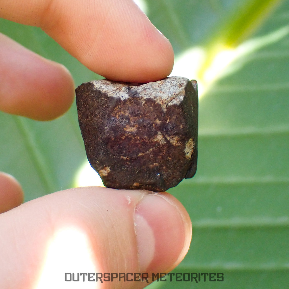 Viñales (aka. Vinales) - L6 Ordinary Chondrite - Complete Individual - 17.5g - Cuba