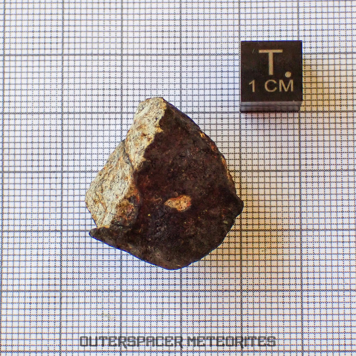 Viñales (aka. Vinales) - L6 Ordinary Chondrite - Complete Individual - 17.5g - Cuba