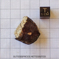 Viñales (aka. Vinales) - L6 Ordinary Chondrite - Complete Individual - 17.5g - Cuba