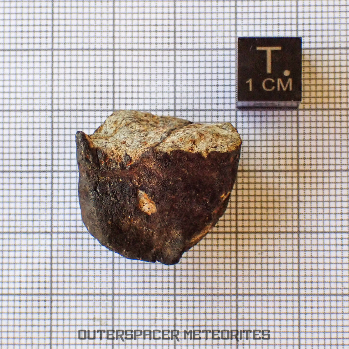 Viñales (aka. Vinales) - L6 Ordinary Chondrite - Complete Individual - 17.5g - Cuba