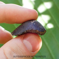 Viñales (aka. Vinales) - L6 Ordinary Chondrite - Complete Individual - 10.65g - Cuba