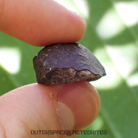 Viñales (aka. Vinales) - L6 Ordinary Chondrite - Complete Individual - 10.65g - Cuba