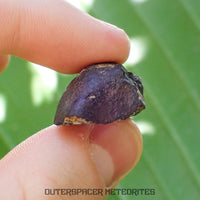 Viñales (aka. Vinales) - L6 Ordinary Chondrite - Complete Individual - 10.65g - Cuba