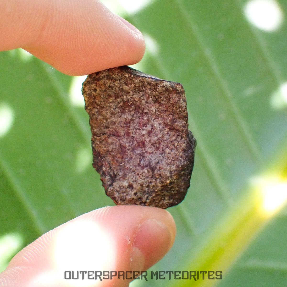 Viñales (aka. Vinales) - L6 Ordinary Chondrite - Complete Individual - 10.65g - Cuba