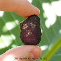 Viñales (aka. Vinales) - L6 Ordinary Chondrite - Complete Individual - 10.65g - Cuba
