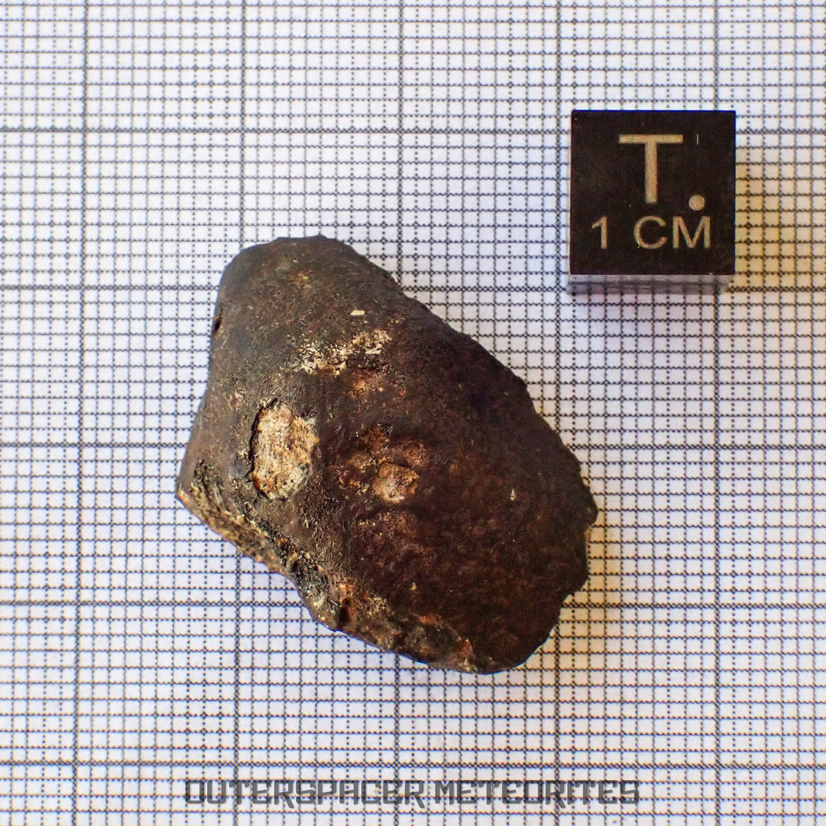 Viñales (aka. Vinales) - L6 Ordinary Chondrite - Complete Individual - 10.65g - Cuba