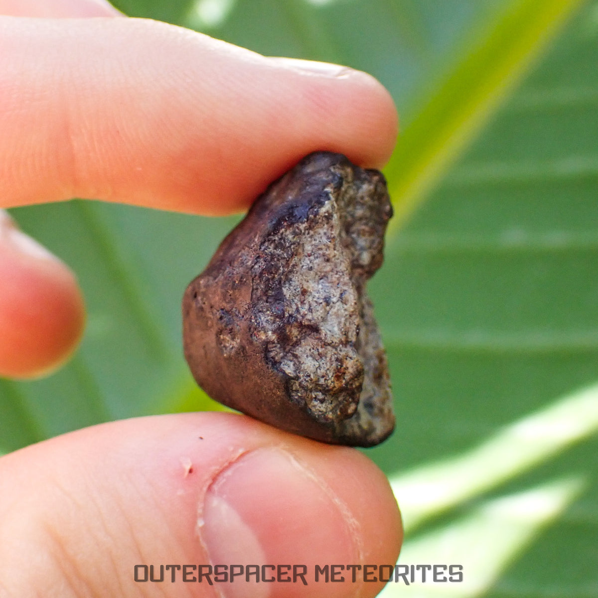 Viñales (alias Vinales) - Chondrite ordinaire L6 - Individu complet - 15,01g - Cuba