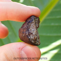 Viñales (alias Vinales) - Chondrite ordinaire L6 - Individu complet - 15,01g - Cuba