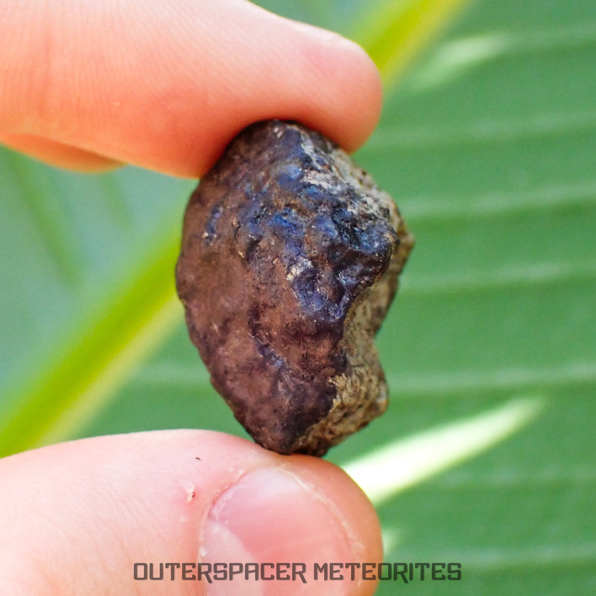 Viñales (alias Vinales) - Chondrite ordinaire L6 - Individu complet - 15,01g - Cuba