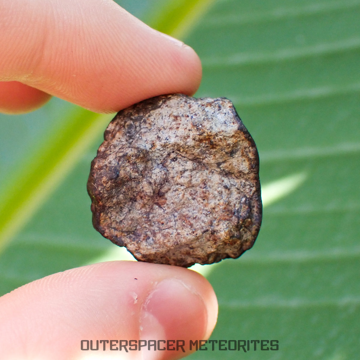 Viñales (alias Vinales) - Chondrite ordinaire L6 - Individu complet - 15,01g - Cuba