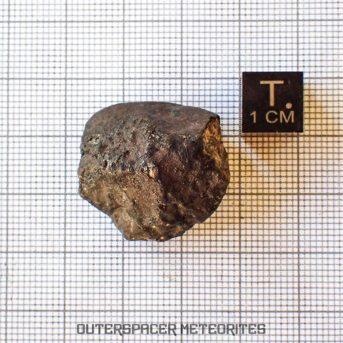 Viñales (alias Vinales) - Chondrite ordinaire L6 - Individu complet - 15,01g - Cuba