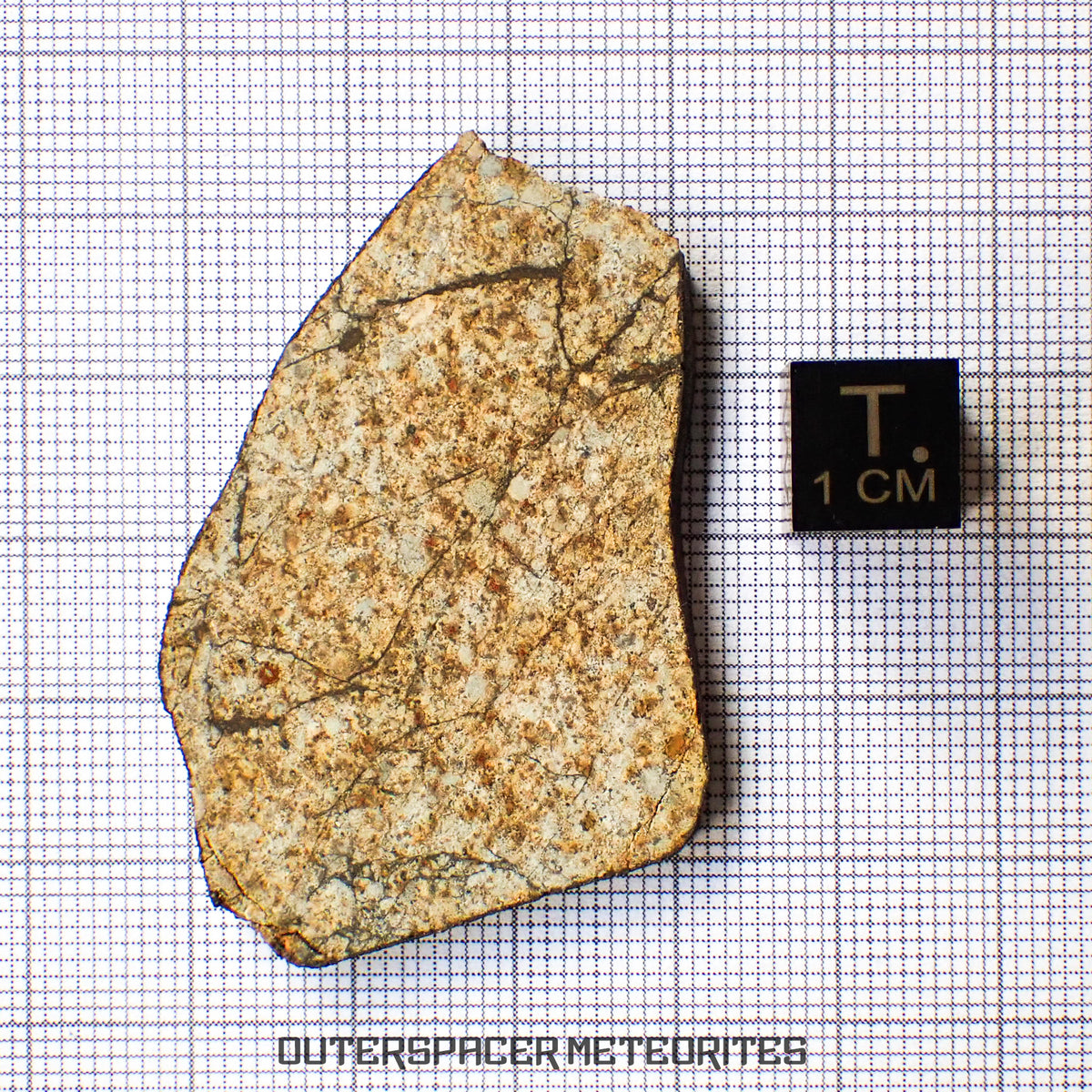 Viñales (aka. Vinales) - L6 Ordinary Chondrite - Slice - 10.61g - Cuba