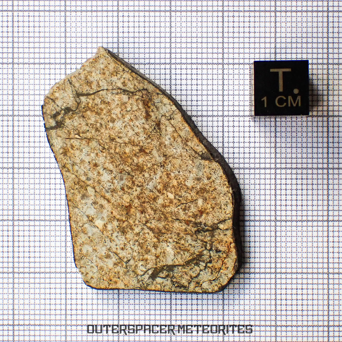 Viñales (aka. Vinales) - L6 Ordinary Chondrite - Slice - 10.61g - Cuba