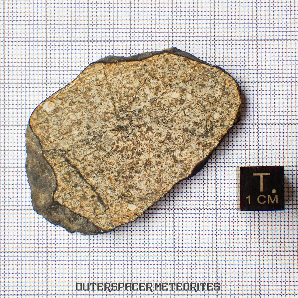 Viñales (Vinales) - L6 Ordinary Chondrite -Slice - 13.89g - Cuba
