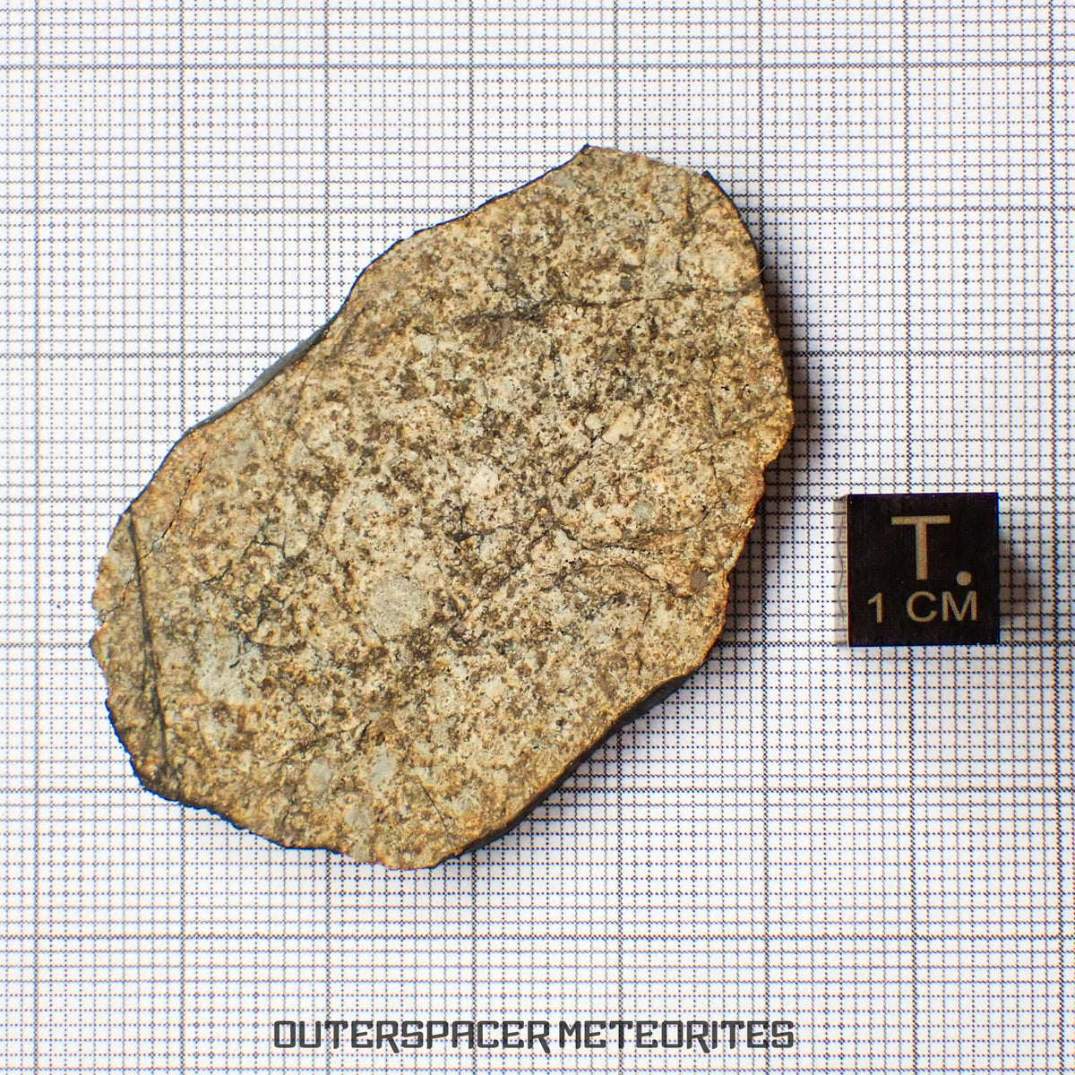 Viñales (Vinales) - L6 Ordinary Chondrite -Slice - 13.89g - Cuba