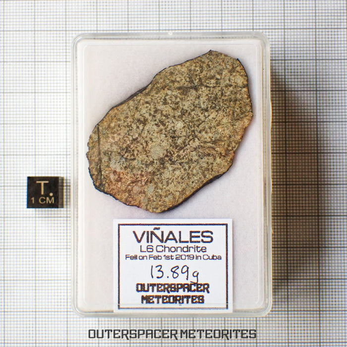 Viñales (Vinales) - L6 Ordinary Chondrite -Slice - 13.89g - Cuba
