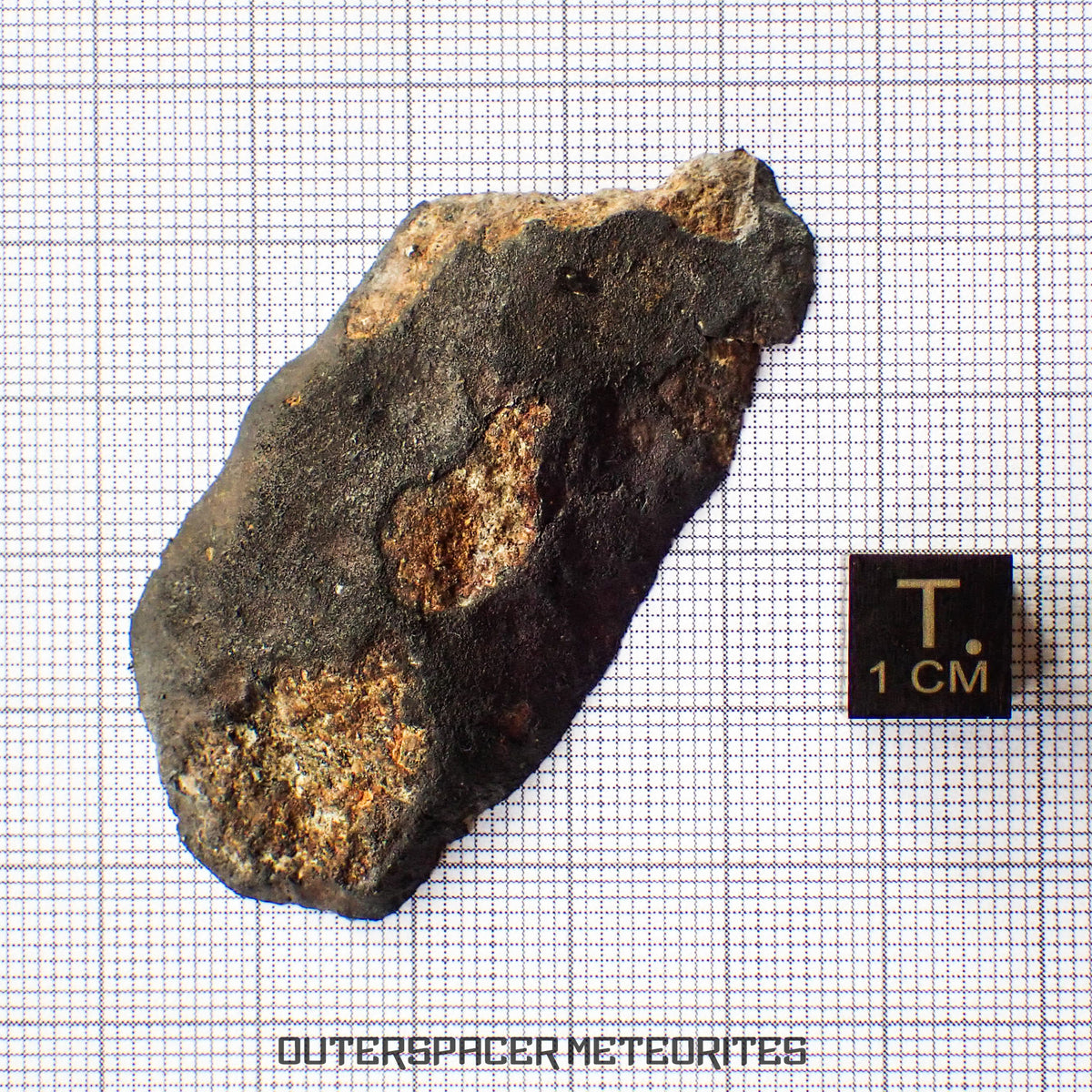 Viñales (alias Vinales) - Chondrite ordinaire L6 - Coupe terminale - 13,4g - Cuba