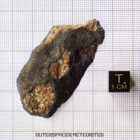 Viñales (alias Vinales) - Chondrite ordinaire L6 - Coupe terminale - 13,4g - Cuba