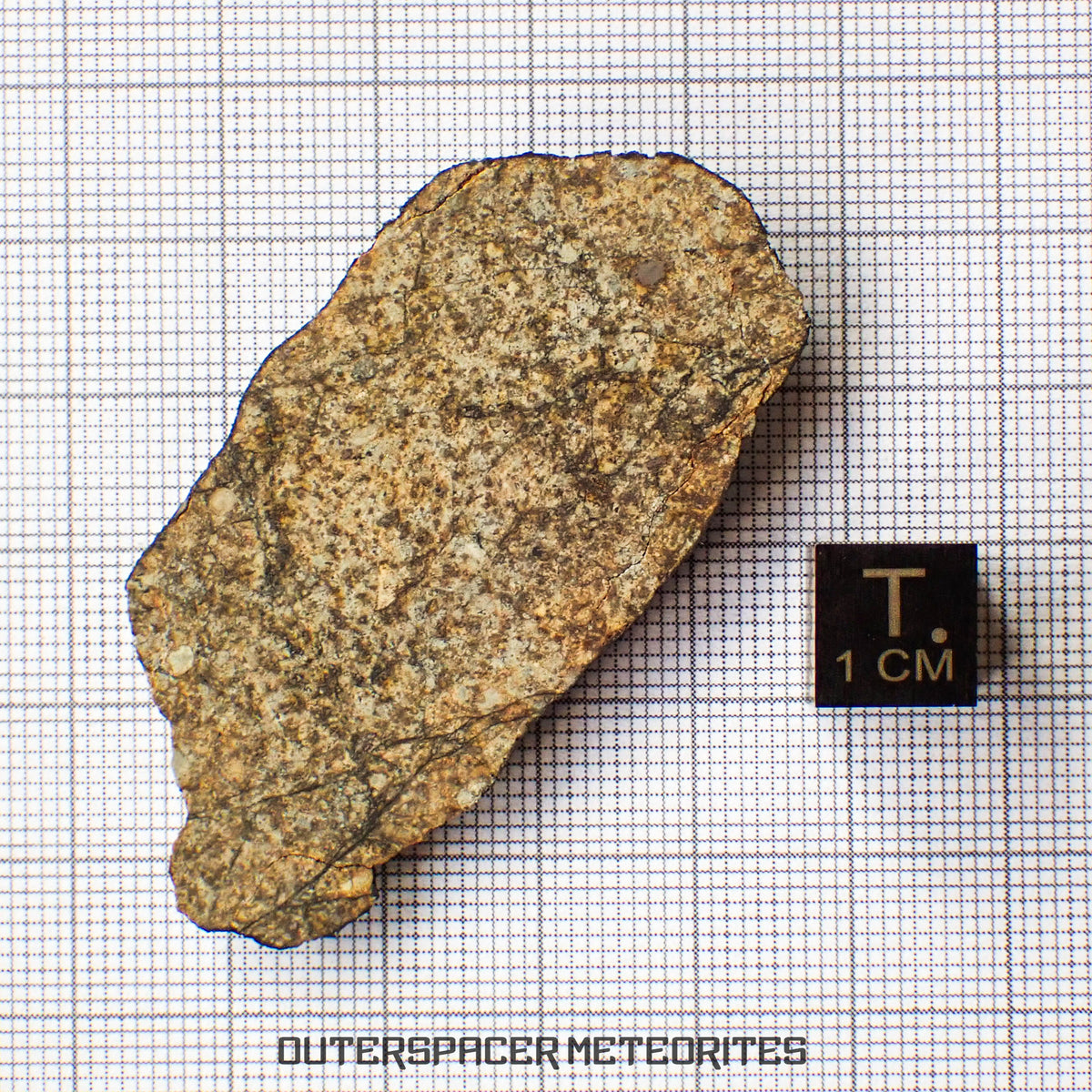 Viñales (alias Vinales) - Chondrite ordinaire L6 - Coupe terminale - 13,4g - Cuba
