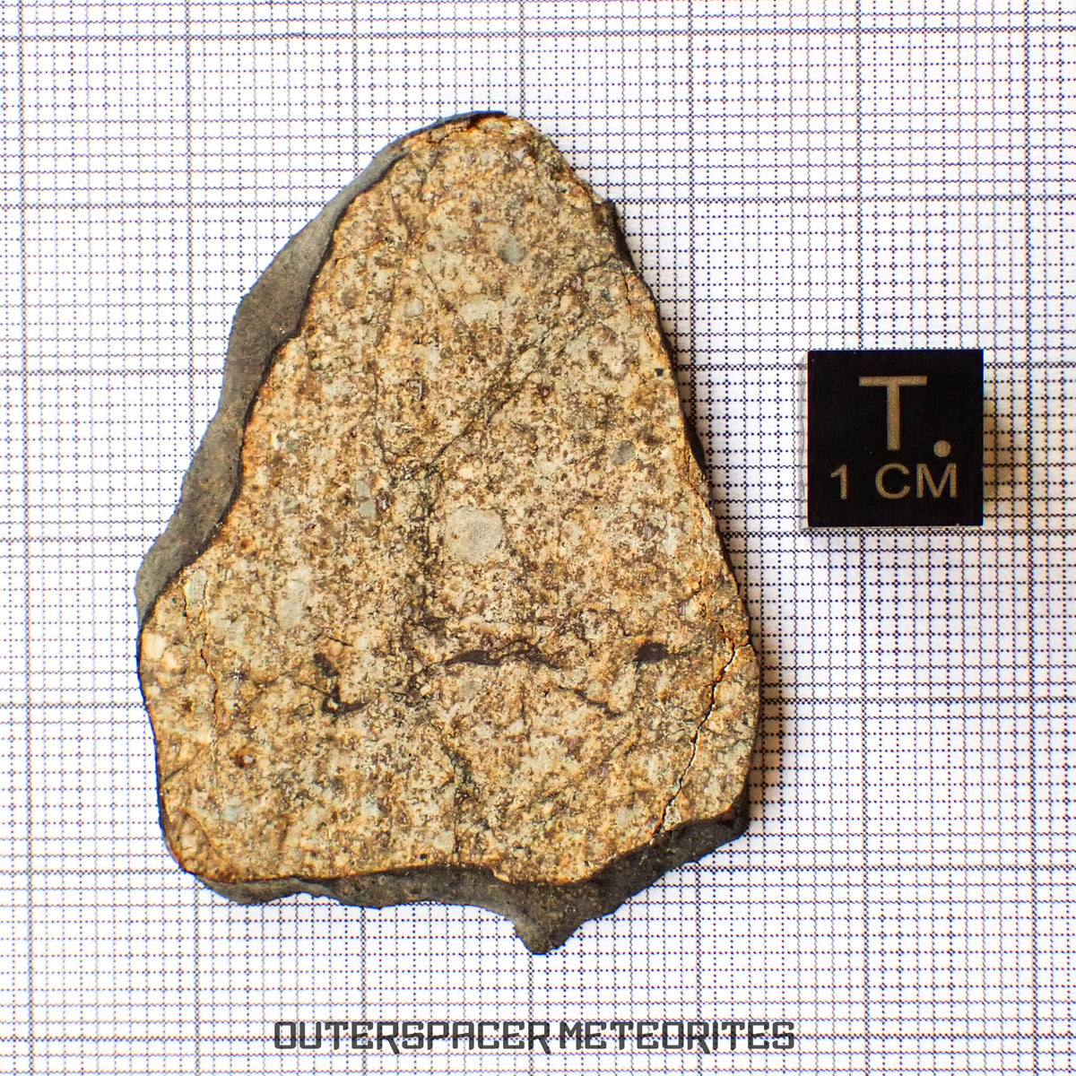 Viñales (aka. Vinales) - L6 Ordinary Chondrite - Slice - 9.85g - Cuba