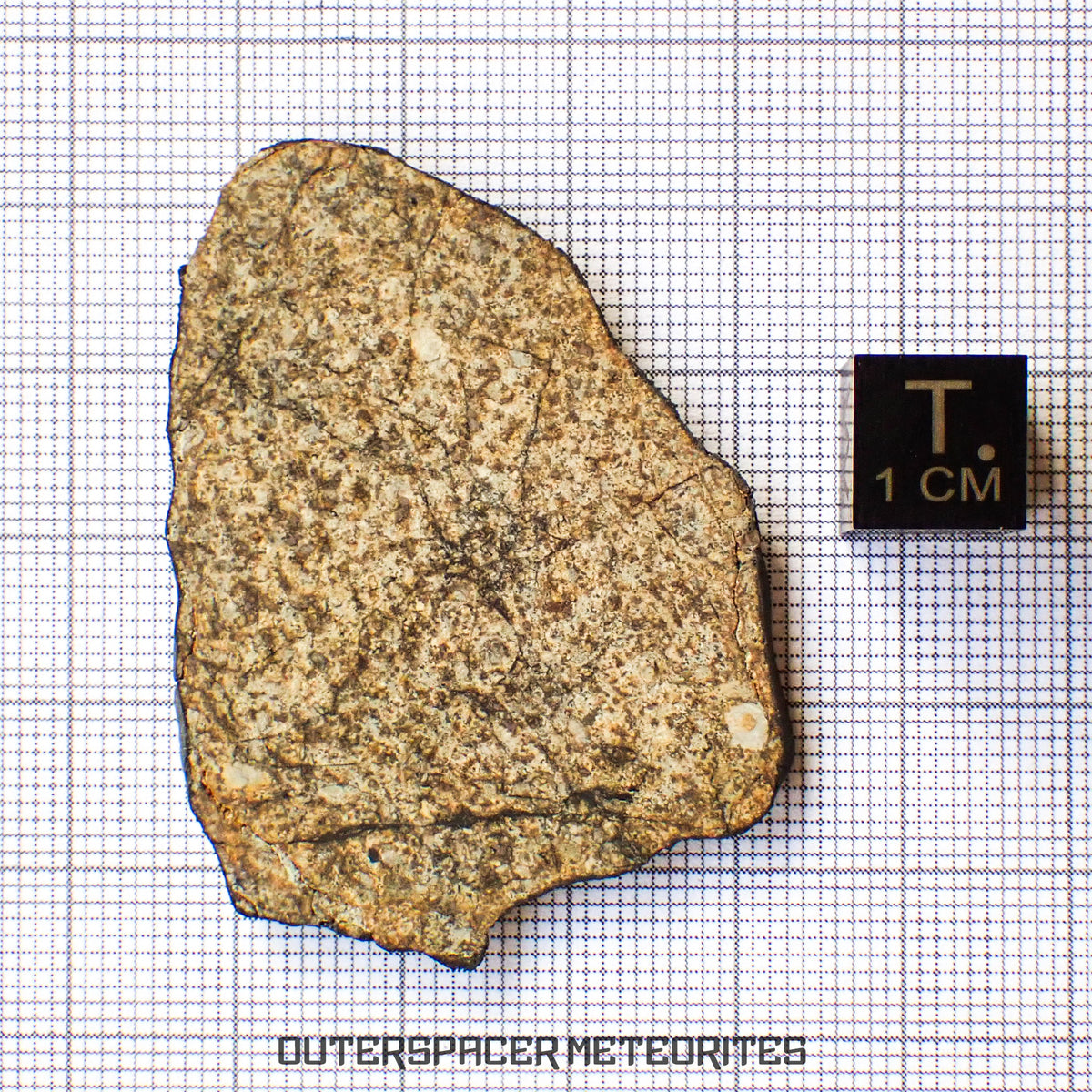 Viñales (aka. Vinales) - L6 Ordinary Chondrite - Slice - 9.85g - Cuba