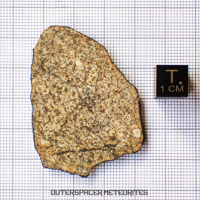 Viñales (aka. Vinales) - L6 Ordinary Chondrite - Slice - 9.85g - Cuba