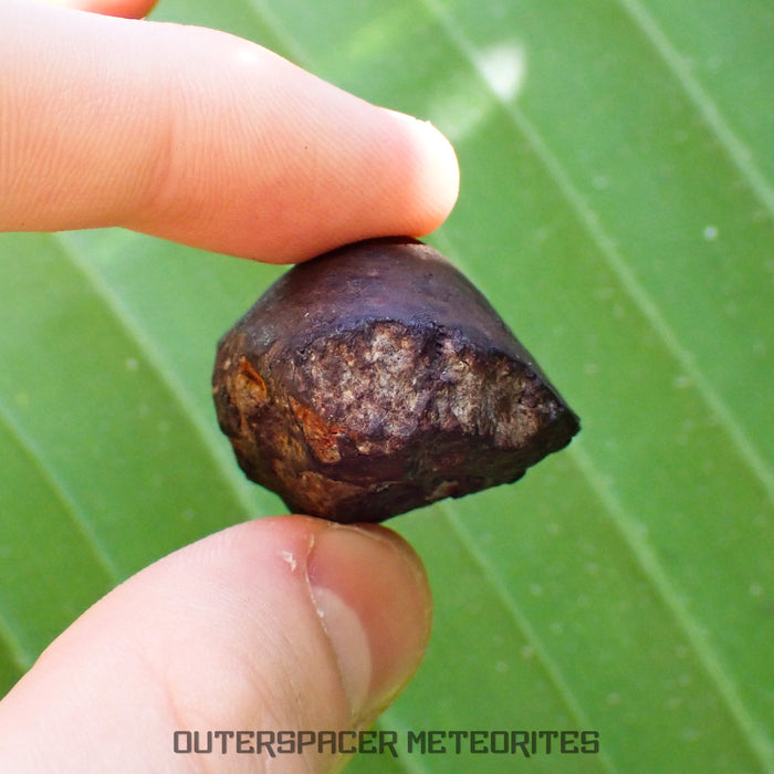 Viñales (aka. Vinales) - L6 Ordinary Chondrite - Complete Individual - 28.59g - Cuba