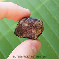 Viñales (alias Vinales) - Chondrite ordinaire L6 - Individu complet - 28,59g - Cuba