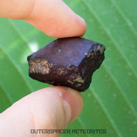 Viñales (alias Vinales) - Chondrite ordinaire L6 - Individu complet - 28,59g - Cuba