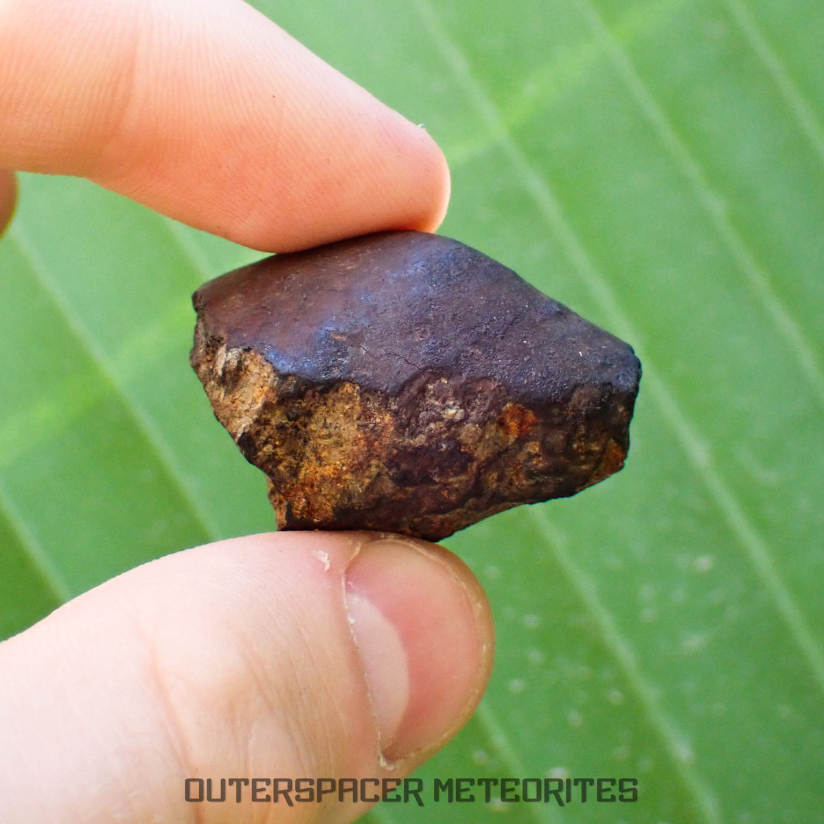 Viñales (alias Vinales) - Chondrite ordinaire L6 - Individu complet - 28,59g - Cuba