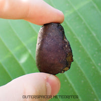 Viñales (alias Vinales) - Chondrite ordinaire L6 - Individu complet - 28,59g - Cuba
