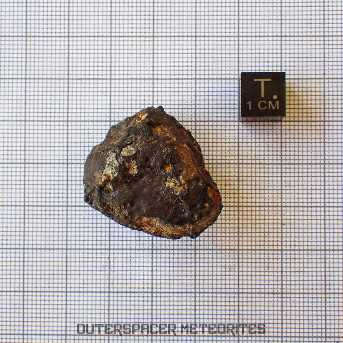 Viñales (alias Vinales) - Chondrite ordinaire L6 - Individu complet - 28,59g - Cuba
