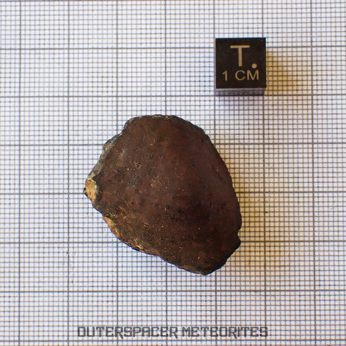 Viñales (alias Vinales) - Chondrite ordinaire L6 - Individu complet - 28,59g - Cuba